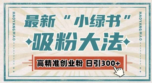 最新自动化“吸粉术”，小绿书激活私域流量，每日轻松吸引300+高质精准粉!-云商网创