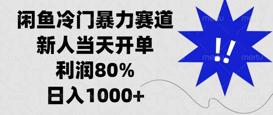 （13660期）闲鱼冷门暴力赛道，新人当天开单，利润80%，日入1000+-云商网创