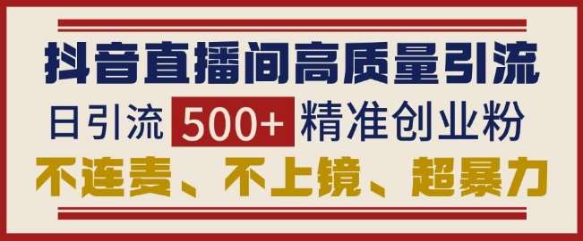 抖音直播间引流创业粉，无需连麦、不用上镜、超暴力，日引流500+高质量精准创业粉-云商网创