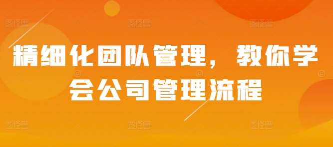 精细化团队管理，教你学会公司管理流程-云商网创