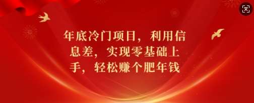 年底冷门项目，利用信息差，实现零基础上手，轻松赚个肥年钱【揭秘】-云商网创