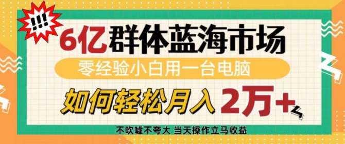 6亿群体蓝海市场，零经验小白用一台电脑，如何轻松月入过w【揭秘】-云商网创