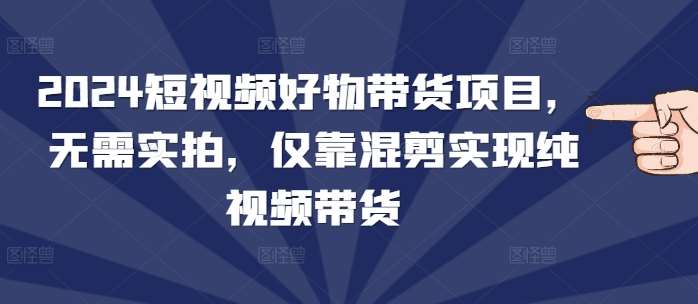 2024短视频好物带货项目，无需实拍，仅靠混剪实现纯视频带货-云商网创