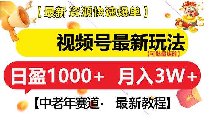 （13530期）视频号最新玩法 中老年赛道 月入3W+-云商网创