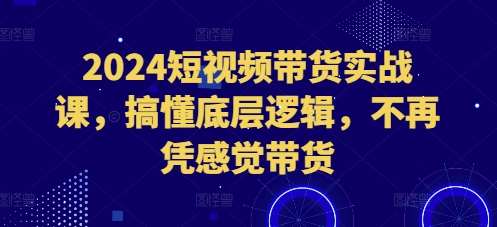 2024短视频带货实战课，搞懂底层逻辑，不再凭感觉带货-云商网创