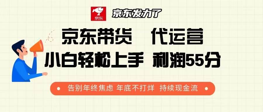 （13833期）京东带货 代运营 利润55分 告别年终焦虑 年底不打烊 持续现金流-云商网创