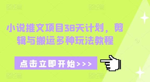 小说推文项目38天计划，剪辑与搬运多种玩法教程-云商网创