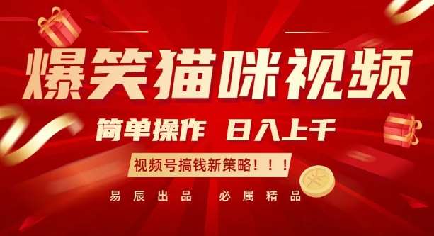 爆笑猫咪视频：简单操作，日入过K，视频号搞钱新策略【揭秘】-云商网创