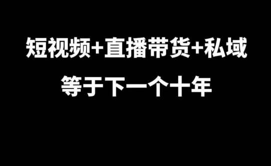 短视频+直播带货+私域等于下一个十年，大佬7年实战经验总结-云商网创