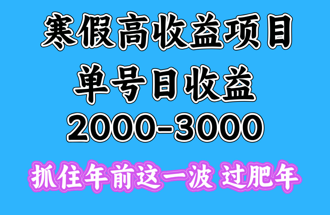 寒假期间一天收益2000-3000+，抓住年前这一波-云商网创