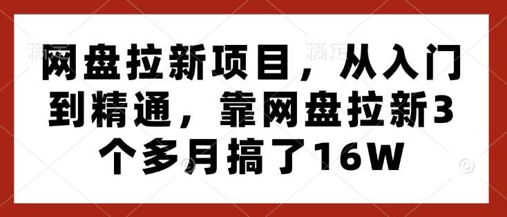 网盘拉新项目，从入门到精通，靠网盘拉新3个多月搞了16W-云商网创