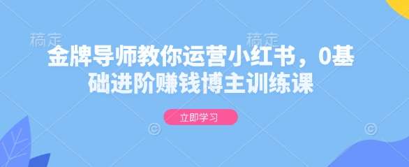 金牌导师教你运营小红书，0基础进阶赚钱博主训练课-云商网创
