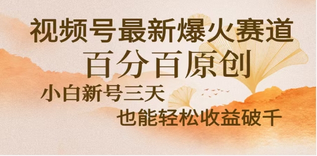视频号独家玩法，老年养生赛道，无脑搬运爆款视频，日入2000+-云商网创