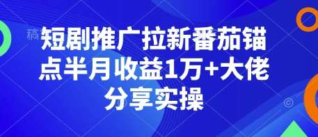 短剧推广拉新番茄锚点半月收益1万+大佬分享实操-云商网创