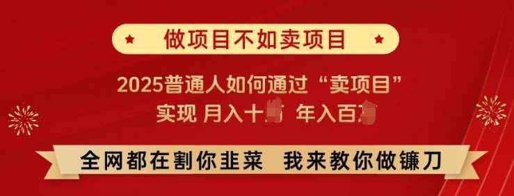 必看!做项目不如卖项目，2025普通人如何通过“卖项目”实现月入十个，年入百个【揭秘】-云商网创
