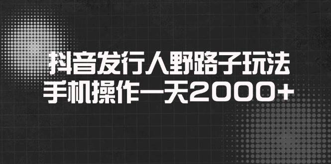 （14068期）抖音发行人野路子玩法，手机操作一天2000+-云商网创
