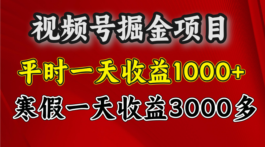 视频号掘金项目，寒假一天收益3000多-云商网创