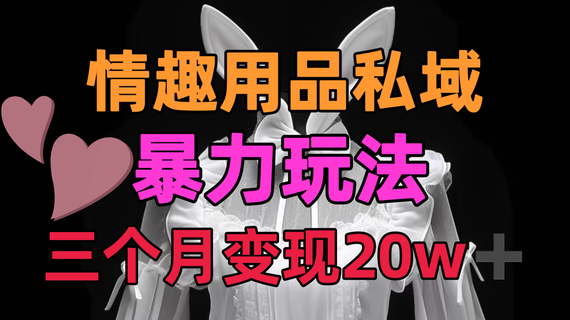 情趣用品私域，25年最新暴力玩法，三个月变现20w➕-云商网创
