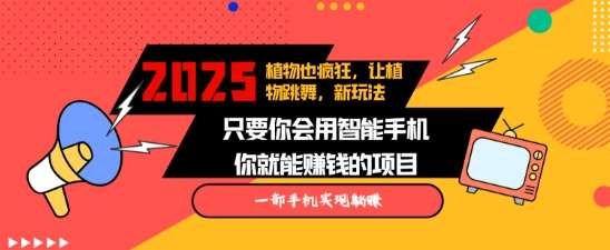2025蓝海新玩法植物也疯狂，跳舞的植物视频有流量涨粉快，多平台去发布，轻松月入过W-云商网创