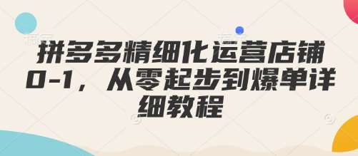 拼多多精细化运营店铺0-1，从零起步到爆单详细教程-云商网创