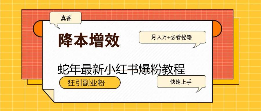 蛇年最新小红书爆粉教程，狂引副业粉，月入万+必看-云商网创