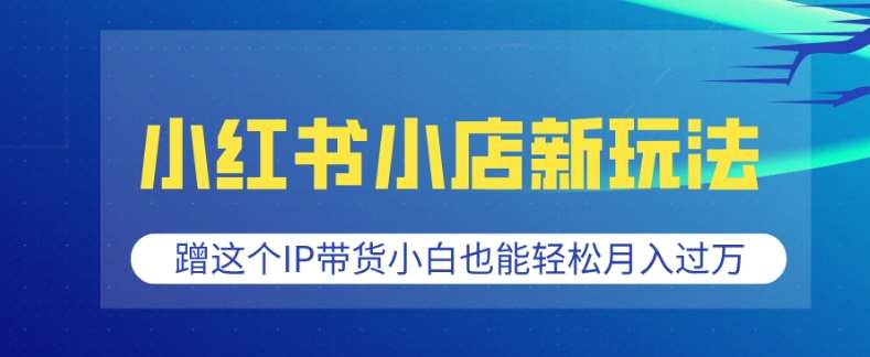 小红书小店新玩法，蹭这个IP带货，小白也能轻松月入过W【揭秘】-云商网创