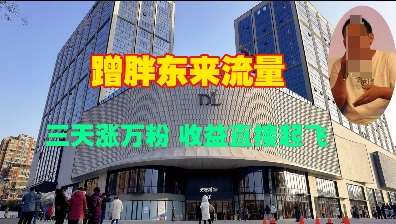 蹭胖东来流量，三天涨万粉，收益直接起飞-云商网创