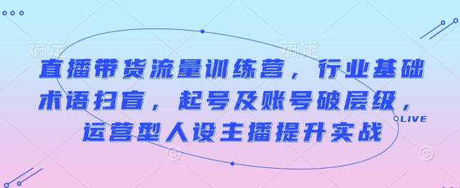直播带货流量训练营，行业基础术语扫盲，起号及账号破层级，运营型人设主播提升实战-云商网创