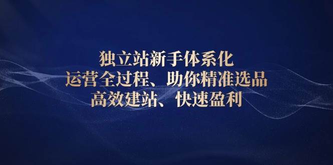 （13914期）独立站新手体系化 运营全过程，助你精准选品、高效建站、快速盈利-云商网创