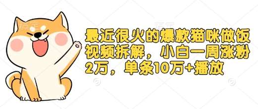 最近很火的爆款猫咪做饭视频拆解，小白一周涨粉2万，单条10万+播放(附保姆级教程)-云商网创