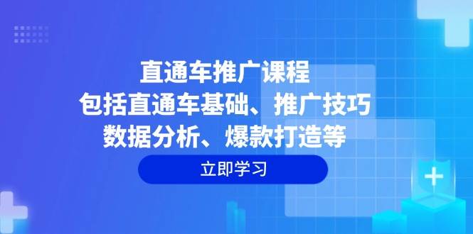 （14001期）直通车推广课程：包括直通车基础、推广技巧、数据分析、爆款打造等-云商网创
