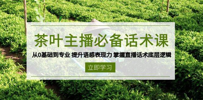 （13961期）茶叶 主播必备话术课 从0基础到专业 提升语感表现力 掌握直播话术底层逻辑-云商网创