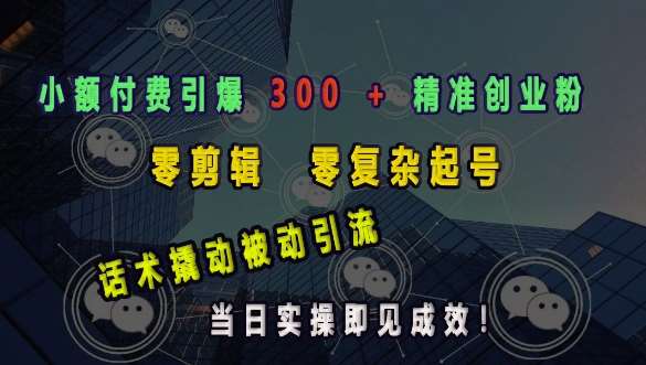 小额付费引爆 300 + 精准创业粉，零剪辑、零复杂起号，话术撬动被动引流，当日实操即见成效-云商网创