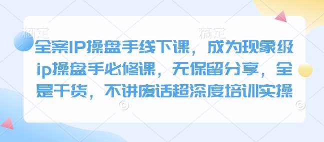 全案IP操盘手线下课，成为现象级ip操盘手必修课，无保留分享，全是干货，不讲废话超深度培训实操-云商网创