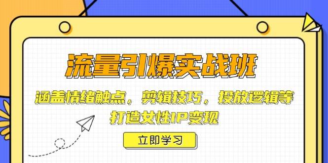 （14008期）流量引爆实战班，涵盖情绪触点，剪辑技巧，投放逻辑等，打造女性IP变现-云商网创