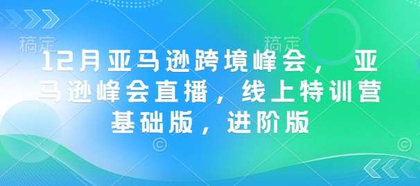 12月亚马逊跨境峰会， 亚马逊峰会直播，线上特训营基础版，进阶版-云商网创