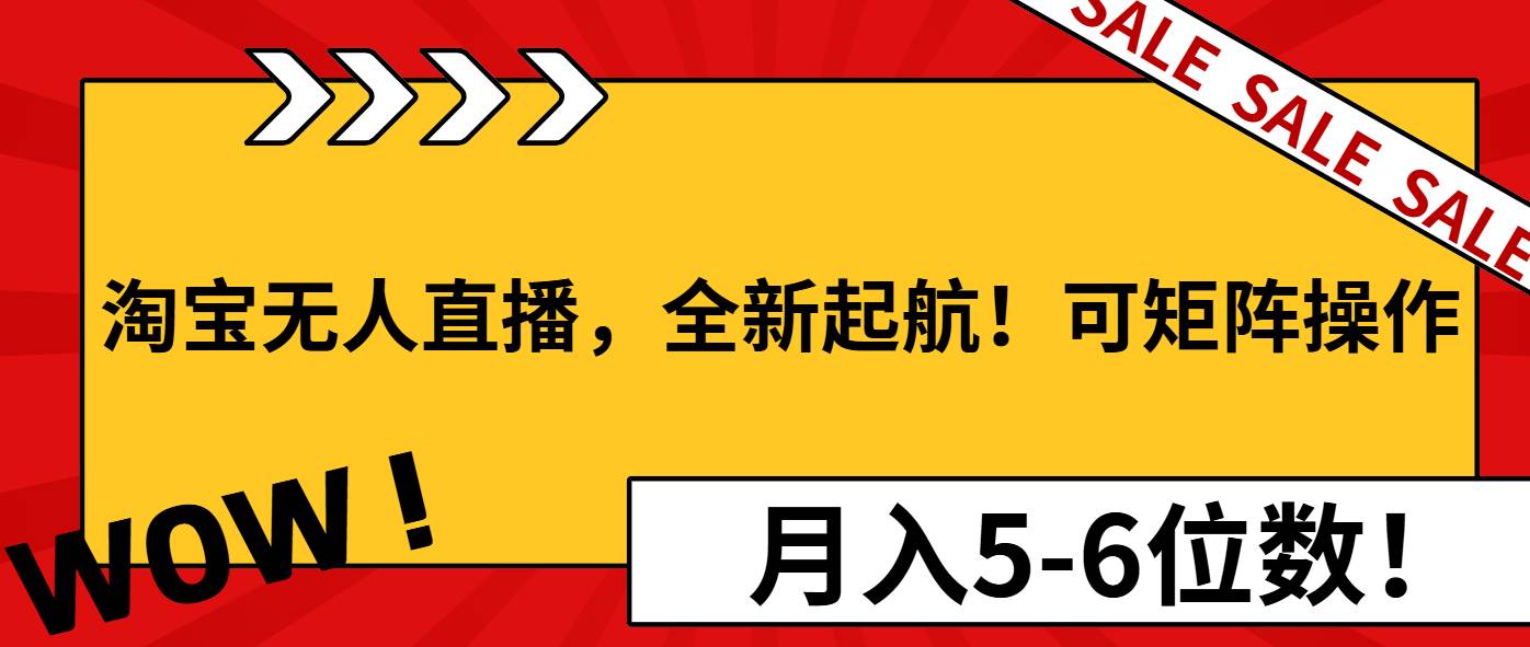 （13946期）淘宝无人直播，全新起航！可矩阵操作，月入5-6位数！-云商网创