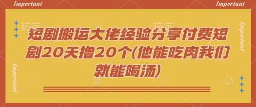 短剧搬运大佬经验分享付费短剧20天撸20个(他能吃肉我们就能喝汤)-云商网创
