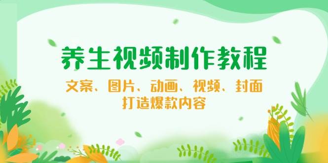 （14163期）养生视频制作教程，文案、图片、动画、视频、封面，打造爆款内容-云商网创
