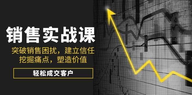 销售实战课，突破销售困扰，建立信任，挖掘痛点，塑造价值，轻松成交客户-云商网创