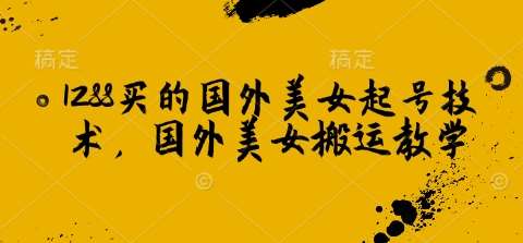 1288买的国外美女起号技术，国外美女搬运教学-云商网创