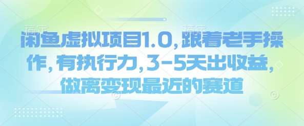 闲鱼虚拟项目1.0，跟着老手操作，有执行力，3-5天出收益，做离变现最近的赛道-云商网创