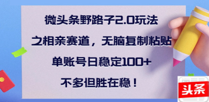 全网首发微头条野路子2.0玩法之相亲赛道，无脑搬砖复制粘贴，单账号日稳定300+保姆级教程-云商网创