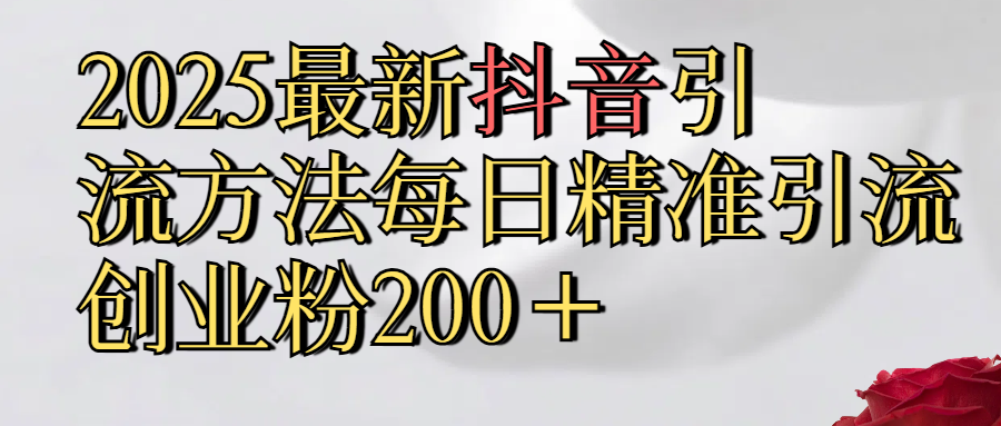 2025最新,抖音引流,方法每日精准引流创业粉300＋-云商网创