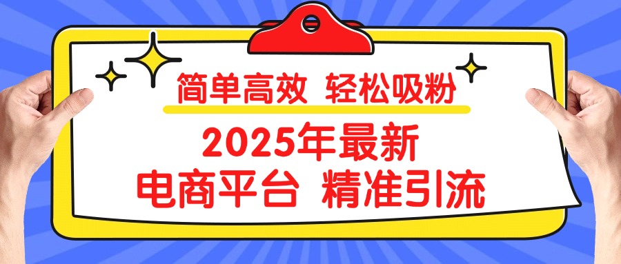 2025年最新电商平台精准引流 简单高效 轻松吸粉-云商网创