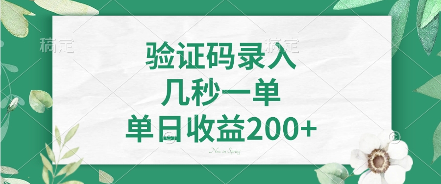 验证码录入，几秒一单，单日收益200+-云商网创