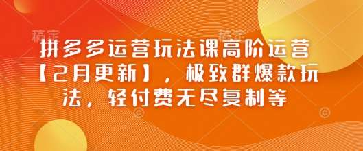 拼多多运营玩法课高阶运营【2月更新】，极致群爆款玩法，轻付费无尽复制等-云商网创