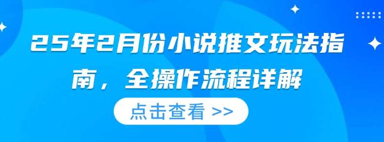 25年2月份小说推文玩法指南，全操作流程详解-云商网创