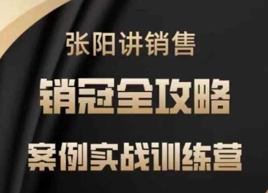 张阳讲销售实战训练营，​案例实战训练，销冠全攻略-云商网创