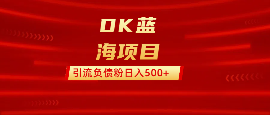 DK蓝海项目  通过，抖音，快手，小红书，引流负债粉日入500+-云商网创